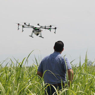 drone survolant un champ